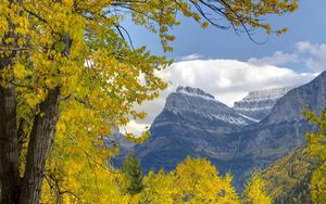 Preview wallpaper trees, mountains, autumn, leaves, branches, distance