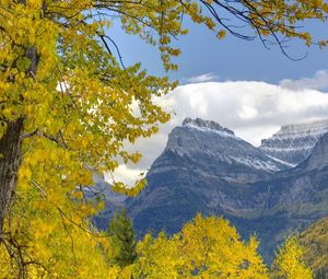 Preview wallpaper trees, mountains, autumn, leaves, branches, distance