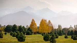 Preview wallpaper trees, mountains, autumn, fog, landscape