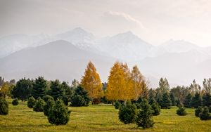 Preview wallpaper trees, mountains, autumn, fog, landscape