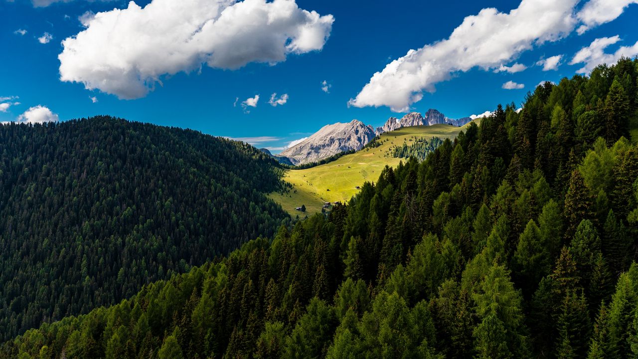 Wallpaper trees, mountains, clouds, summer
