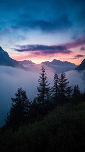 Preview wallpaper trees, mountains, clouds, fog, nature