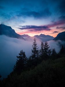 Preview wallpaper trees, mountains, clouds, fog, nature