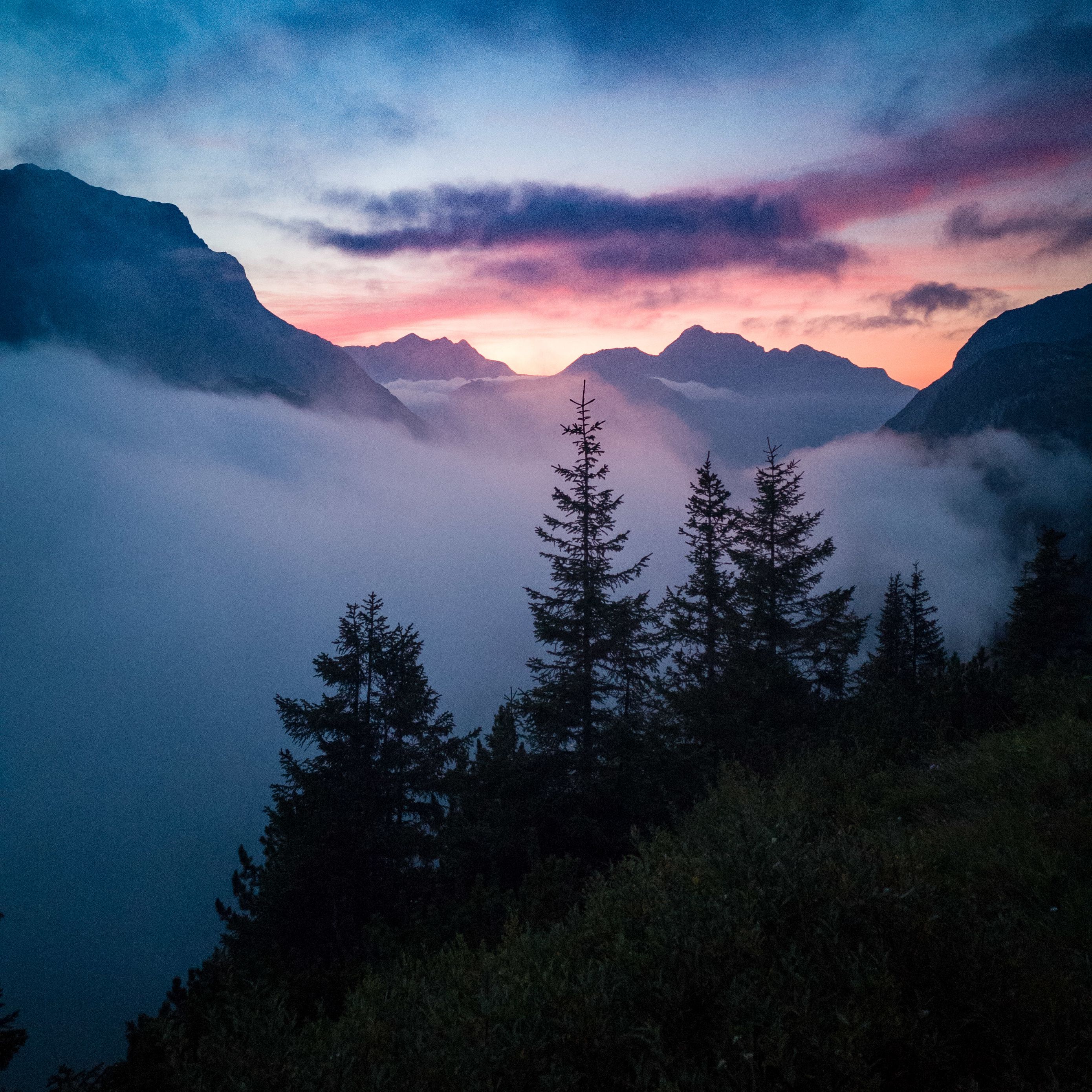 Download Wallpaper 2780x2780 Trees Mountains Clouds Fog Nature Ipad