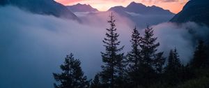 Preview wallpaper trees, mountains, clouds, fog, nature