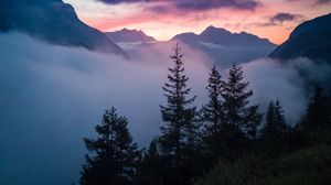 Preview wallpaper trees, mountains, clouds, fog, nature