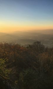 Preview wallpaper trees, mountains, fog, view, landscape