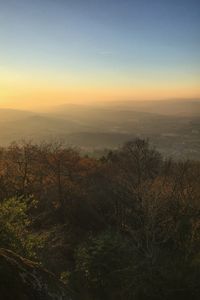 Preview wallpaper trees, mountains, fog, view, landscape
