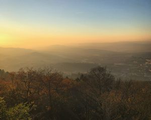 Preview wallpaper trees, mountains, fog, view, landscape