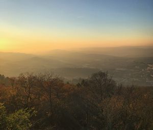 Preview wallpaper trees, mountains, fog, view, landscape