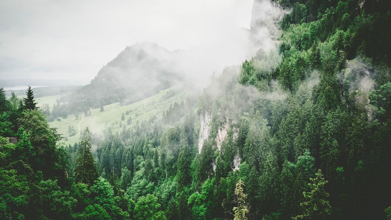 Wallpaper trees, mountains, fog, summer