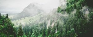 Preview wallpaper trees, mountains, fog, summer