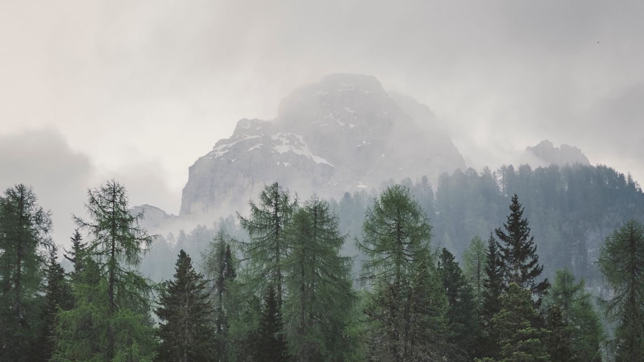 Download wallpaper 1280x720 trees, mountains, fog, lake, landscape hd