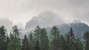 Preview wallpaper trees, mountains, fog, lake, landscape