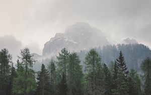 Preview wallpaper trees, mountains, fog, lake, landscape