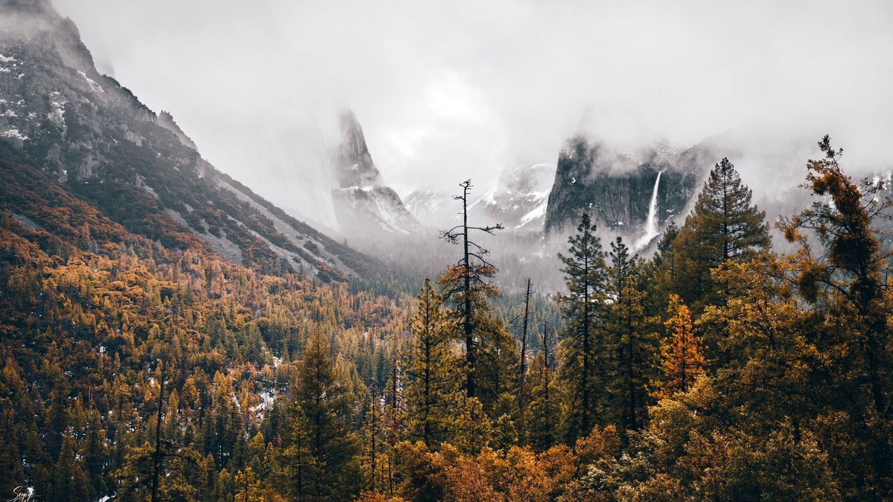 Wallpaper trees, mountains, fog, landscape, nature