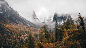 Preview wallpaper trees, mountains, fog, landscape, nature