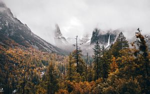 Preview wallpaper trees, mountains, fog, landscape, nature