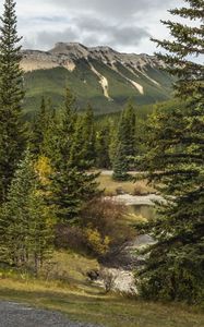 Preview wallpaper trees, mountains, forest, landscape, nature, relief