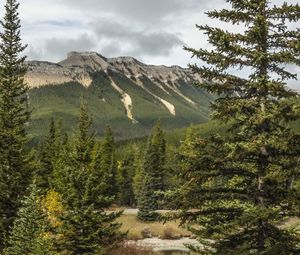 Preview wallpaper trees, mountains, forest, landscape, nature, relief