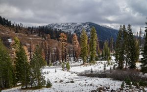 Preview wallpaper trees, mountains, forest, snow, nature
