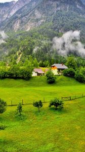 Preview wallpaper trees, mountains, forest, slovenia