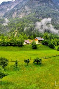 Preview wallpaper trees, mountains, forest, slovenia