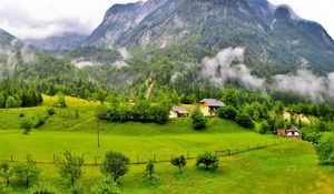 Preview wallpaper trees, mountains, forest, slovenia