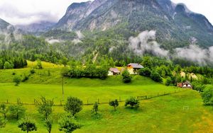 Preview wallpaper trees, mountains, forest, slovenia