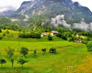 Preview wallpaper trees, mountains, forest, slovenia