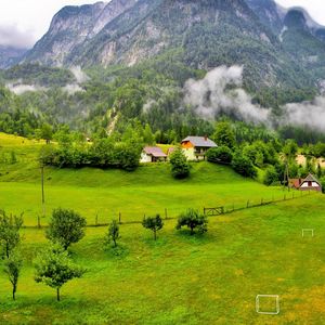 Preview wallpaper trees, mountains, forest, slovenia