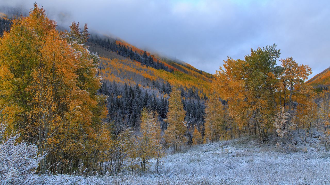 Wallpaper trees, mountains, frost, autumn