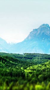 Preview wallpaper trees, mountains, green, fog