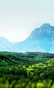 Preview wallpaper trees, mountains, green, fog