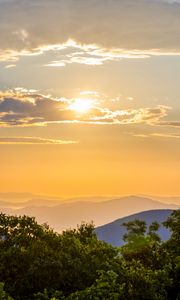 Preview wallpaper trees, mountains, hills, fog, landscape