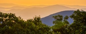 Preview wallpaper trees, mountains, hills, fog, landscape