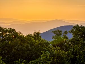 Preview wallpaper trees, mountains, hills, fog, landscape