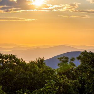 Preview wallpaper trees, mountains, hills, fog, landscape
