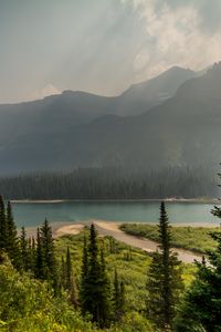 Preview wallpaper trees, mountains, lake, beach, nature