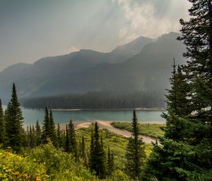 Preview wallpaper trees, mountains, lake, beach, nature