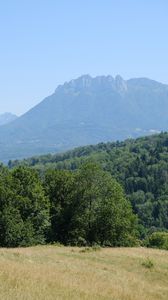 Preview wallpaper trees, mountains, landscape, grass, nature