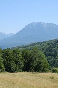 Preview wallpaper trees, mountains, landscape, grass, nature