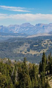 Preview wallpaper trees, mountains, landscape, nature, hills