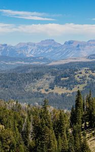 Preview wallpaper trees, mountains, landscape, nature, hills