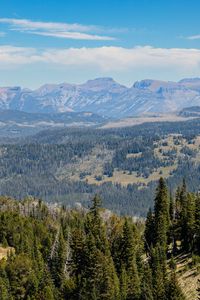 Preview wallpaper trees, mountains, landscape, nature, hills