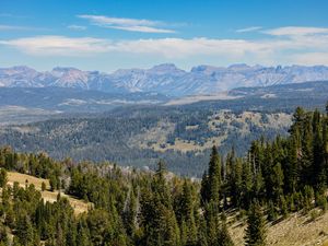 Preview wallpaper trees, mountains, landscape, nature, hills