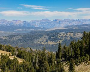 Preview wallpaper trees, mountains, landscape, nature, hills