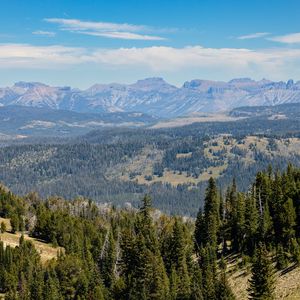 Preview wallpaper trees, mountains, landscape, nature, hills