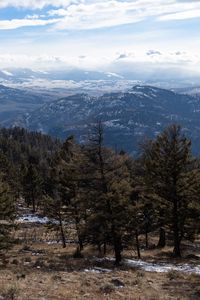 Preview wallpaper trees, mountains, landscape, nature, peaks