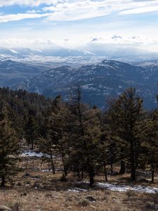 Preview wallpaper trees, mountains, landscape, nature, peaks